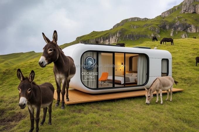 Casa de contêiner de transporte moderna de luxo de 20 pés, pequena estrutura de aço pré-fabricada residencial para hotéis, vilas e espaço de apartamentos 5